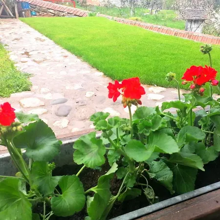 Jerma-kanjon Jerme Appartement Pirot