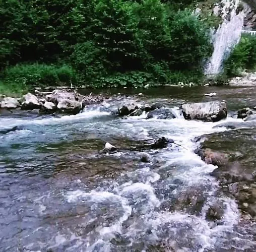 Апартаменты Jerma-kanjon Jerme Пирот