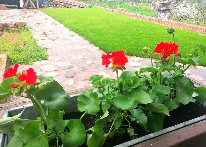 Jerma-kanjon Jerme Апартаменты Пирот