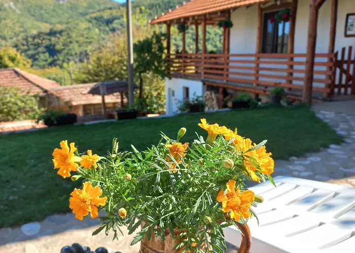 Jerma-kanjon Jerme Апартаменты Пирот